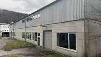 Vielseitige Gewerbefläche mit Lastenkran, Starkstrom & Freifläche *PROVISIONSFREI*