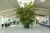 Top-Lage in Mayen: Gewerbefläche mit Erweiterungsoption und großem Außenbereich *PROVISIONSFREI*