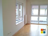 WZ OG