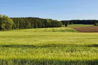 Ärzte & Apotheker Immobilien  