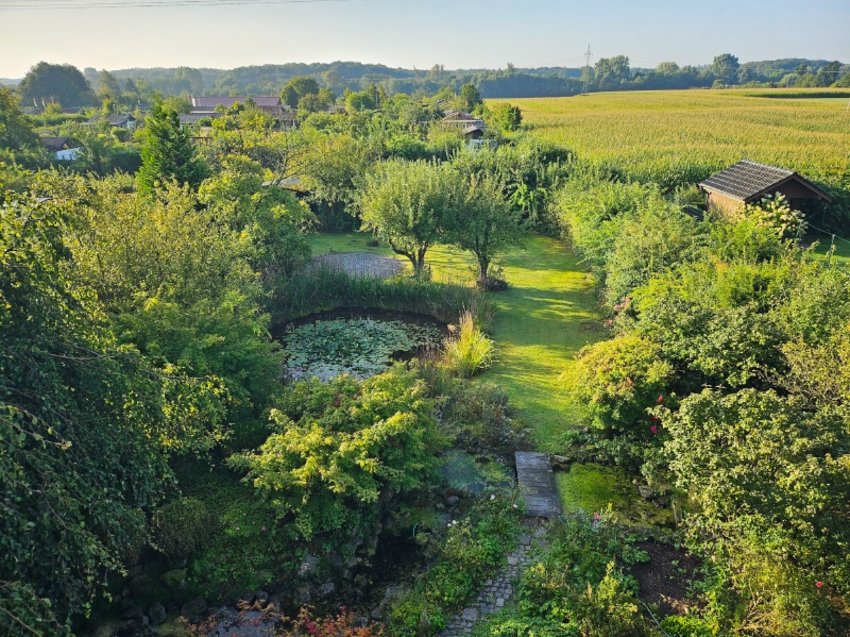 Blick in den Garten