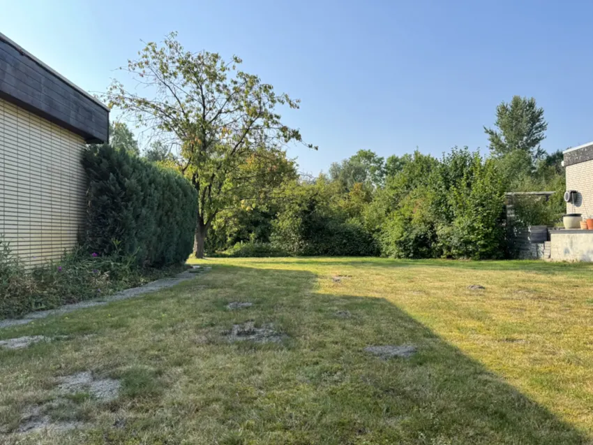 Blick ins Grüne