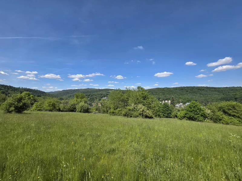 Traumhaftes Ackerland mit Potenzial &ndash; Ihre Chance auf eine Streuobstwiese oder Kapitalanlage!