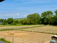 Weitblick