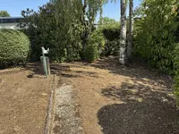 Garten 2
