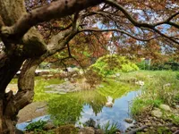 Gartenansichten