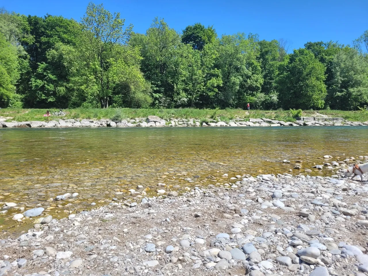 Isar
