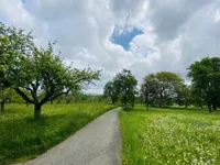 Blick ins Landschaftsschutzgebiet