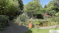 Teich im Garten
