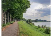 Spazierweg am Rhein