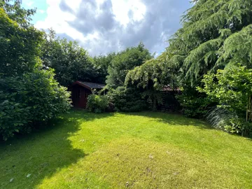 Garten_1
