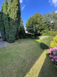 Garten mit Bäumen
