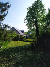 Garten mit Häusern
