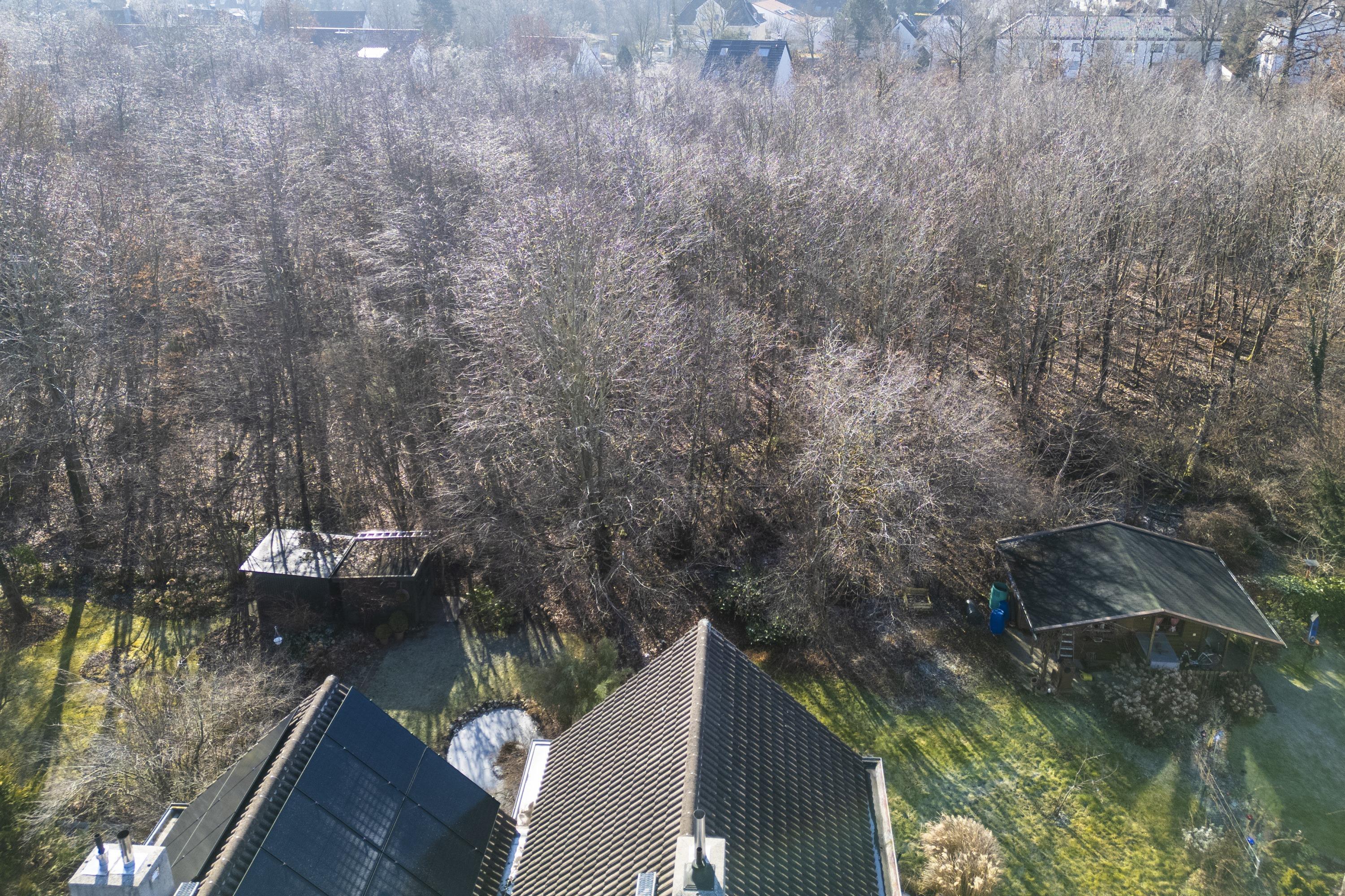 Wohnen direkt am Waldstück