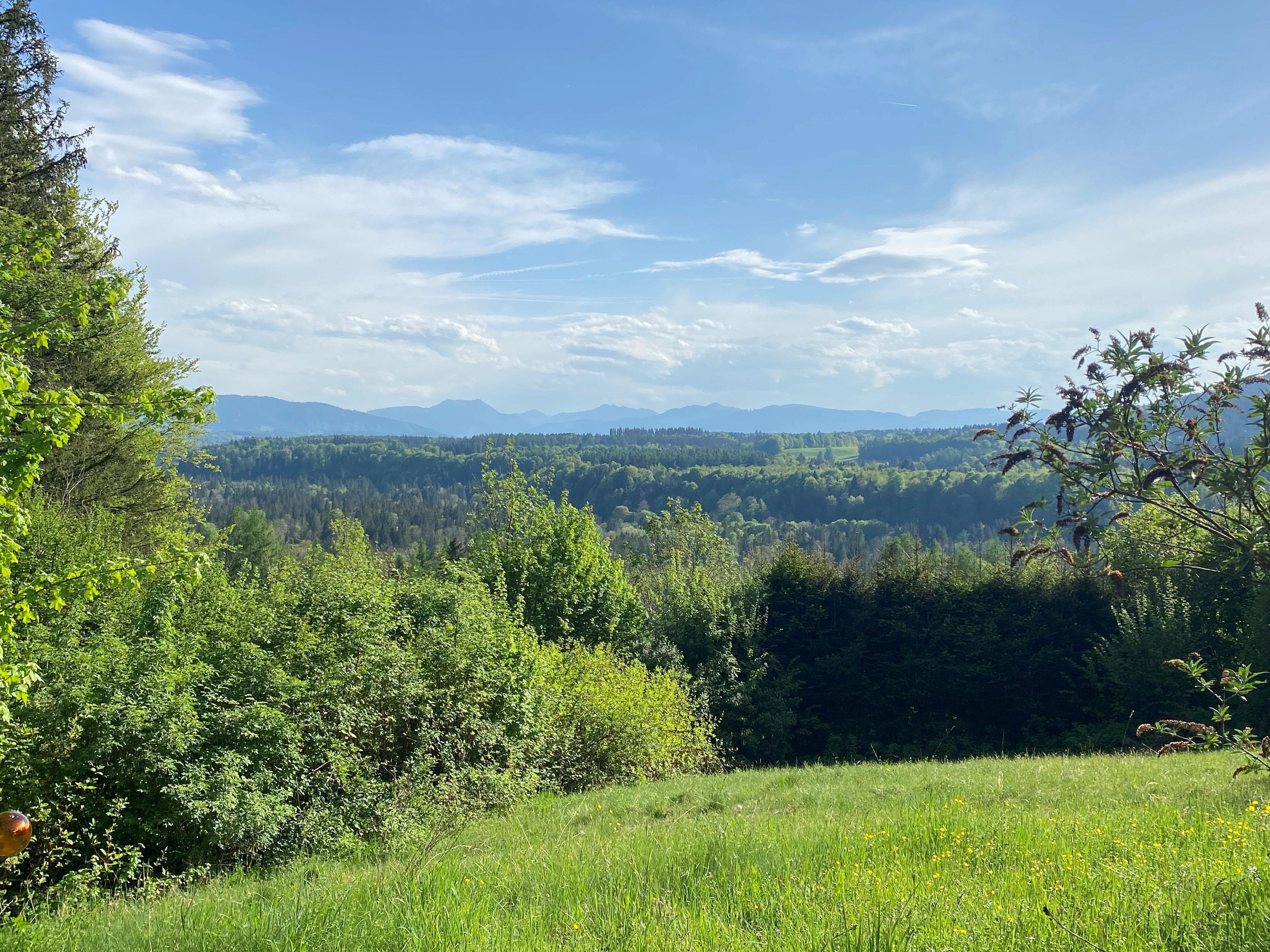 Ausblick