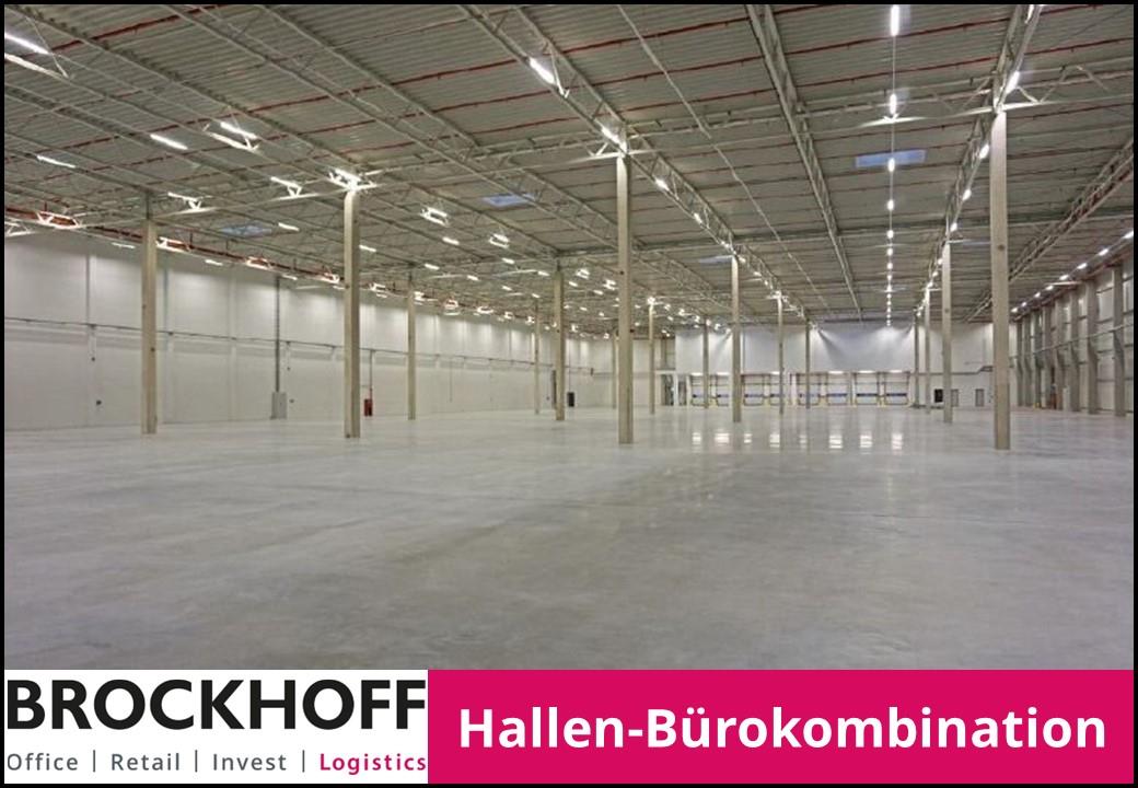 Titelbild
