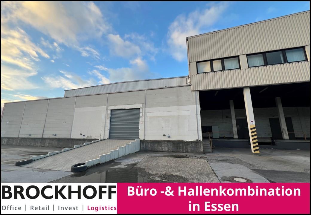 Titelbild