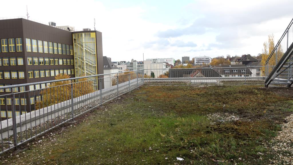 Terrasse 4. OG