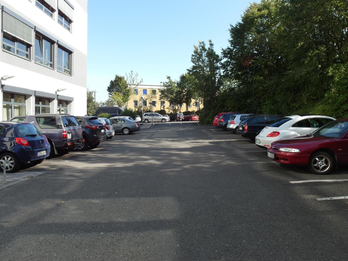 Auenansicht