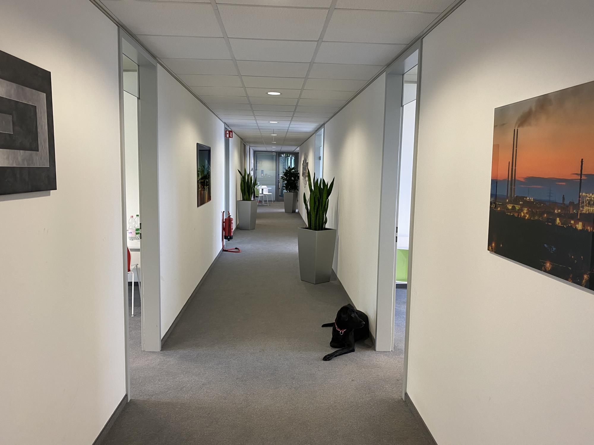 Büroflur