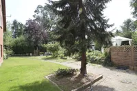 Blick in den Garten