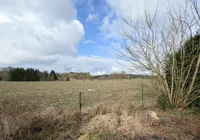 Blick zum Nachbarn