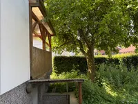 Ein schattiges Plätzchen unter dem Baum