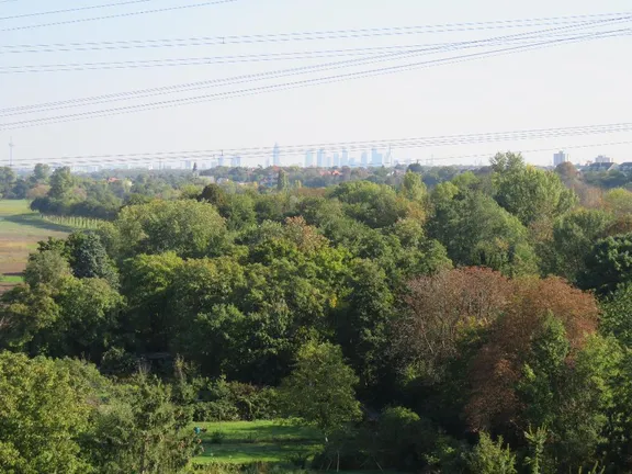 ... und zur Frankfurter Skyline