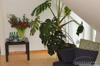 Wohnen