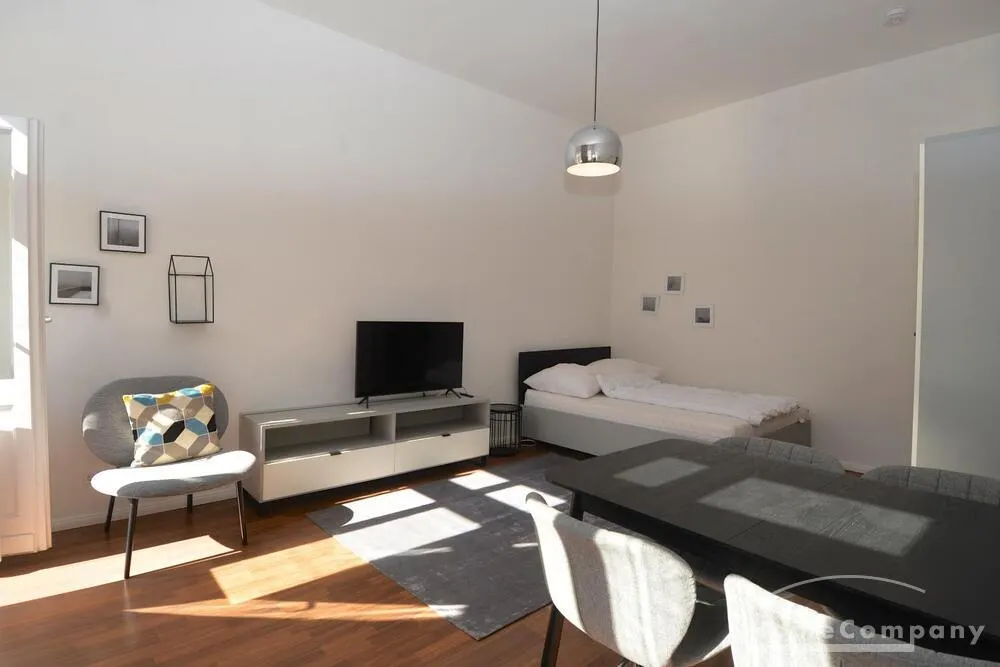 Helle 1-Zi. Wohnung in Friedrichshain,möbliert, Balkon - Foto 3