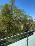 Blick