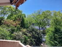 Ausblick vom Balkon