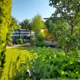 Blick in den Garten