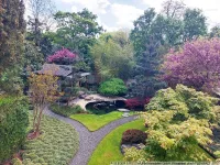 Blick in den japanischen Garten