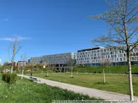 Spazieren gehen, Joggen und Erholung - Bild 2