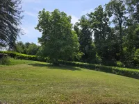 Grundstück