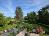 Blick ins Grüne