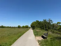Radwege