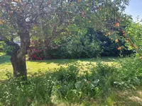 Blick von der Terrasse