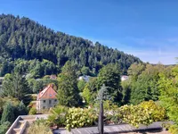 Ausblick