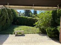 Blick in den sonnigen Garten