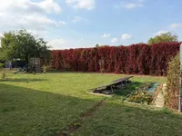 Garten I