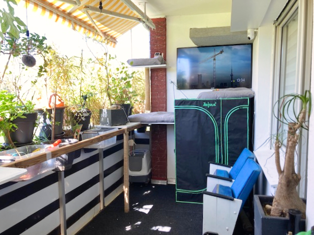 Balkon