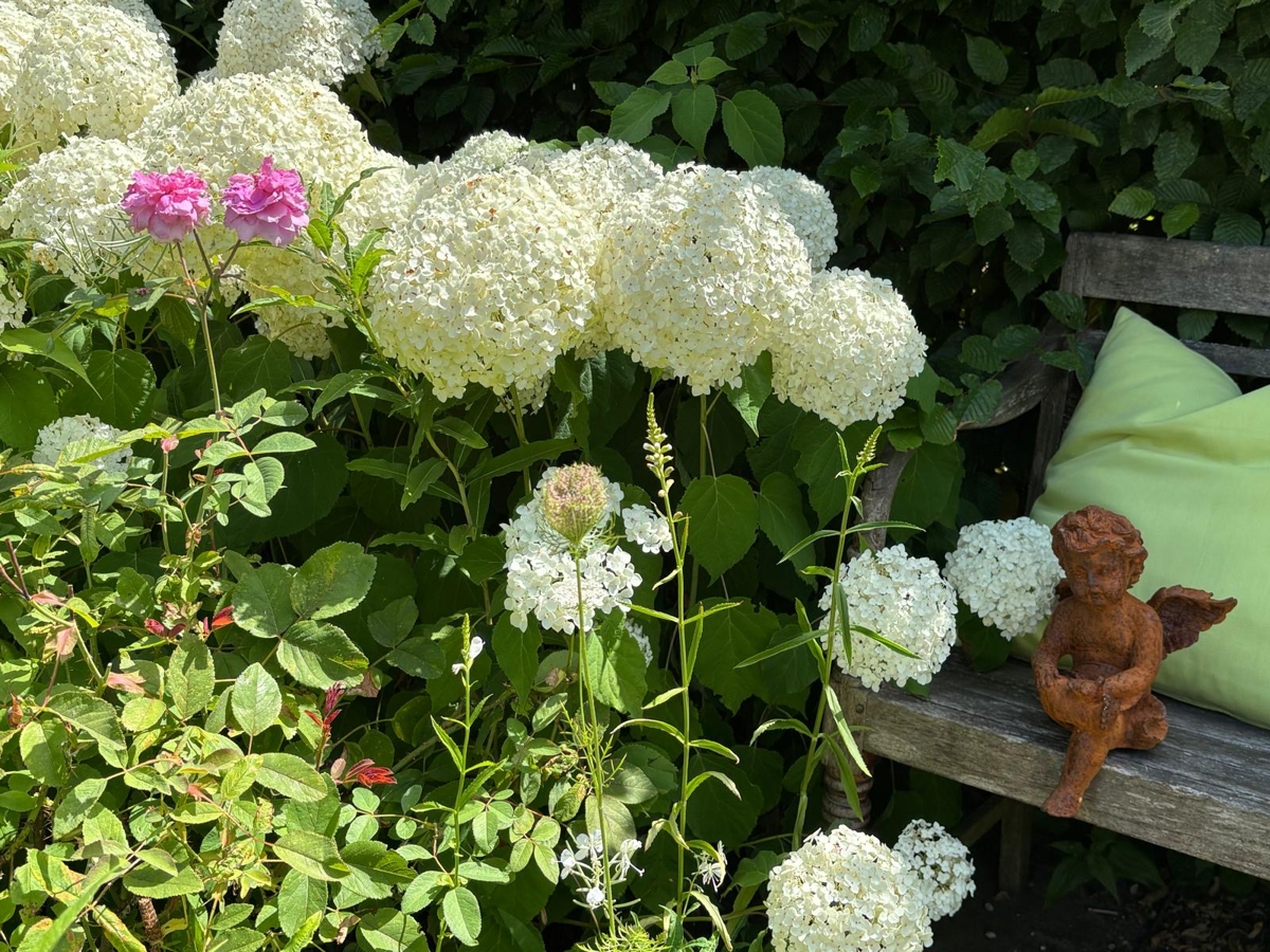Idyllische Plätze im Garten