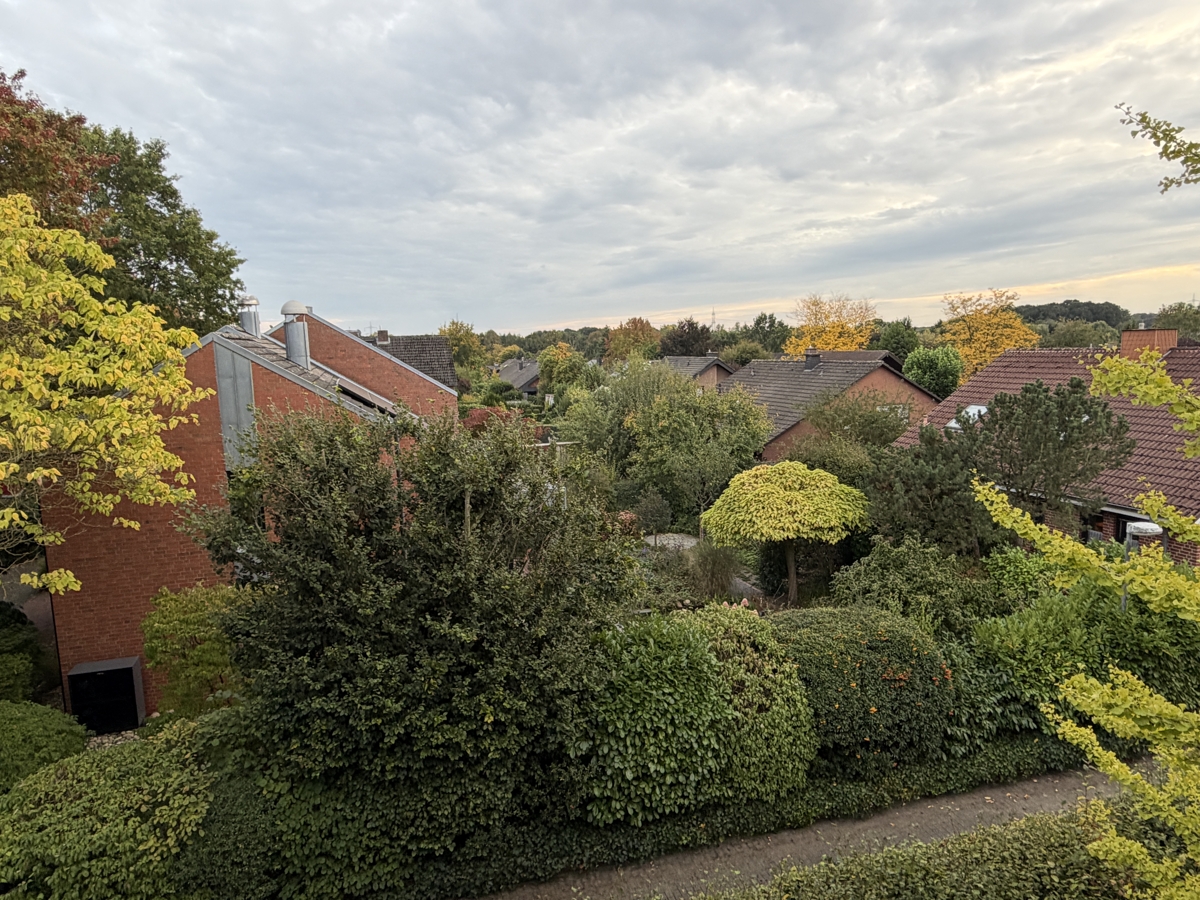 Der Ausblick