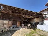IMG_3151