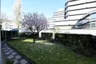 Blick in den Garten