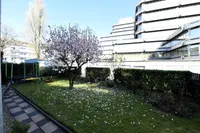 Blick in den Garten