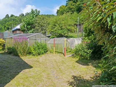 Garten hinter dem Haus