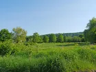 Wiesengrundstück